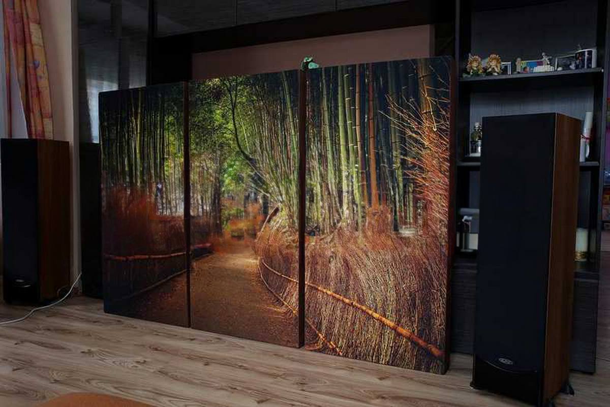 Mur anti-bruit personnalisé avec une photo haute résolution pour les hôtels, restaurants et espaces d’accueil