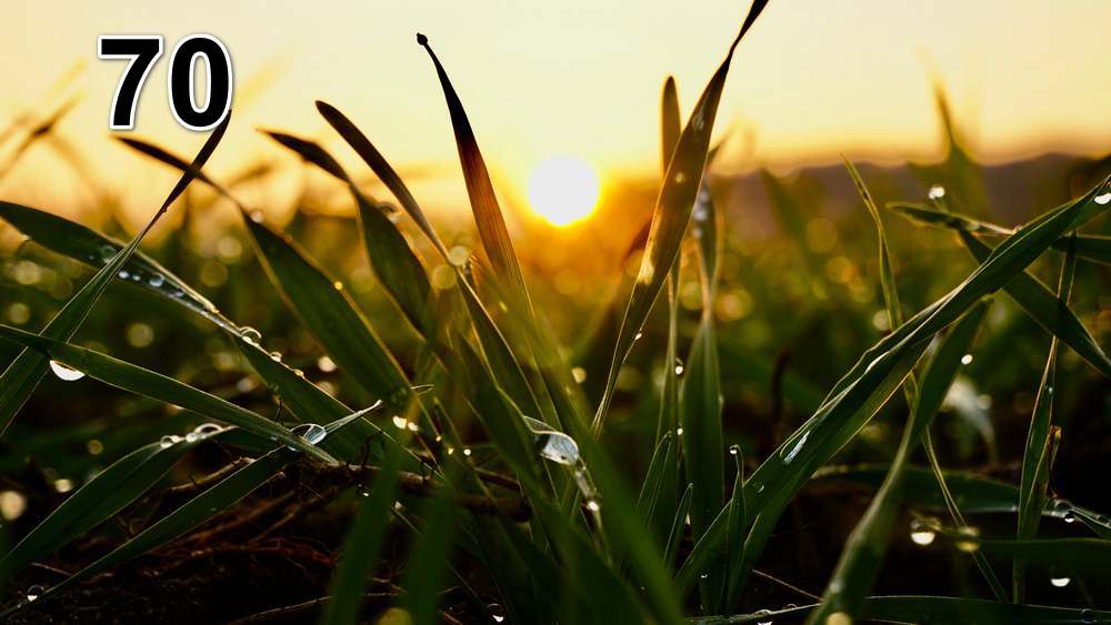 Panneau d'absorption acoustique photographique - mince (100x50x2-4cm) Egalement avec une photo unique - 59 – Image 103