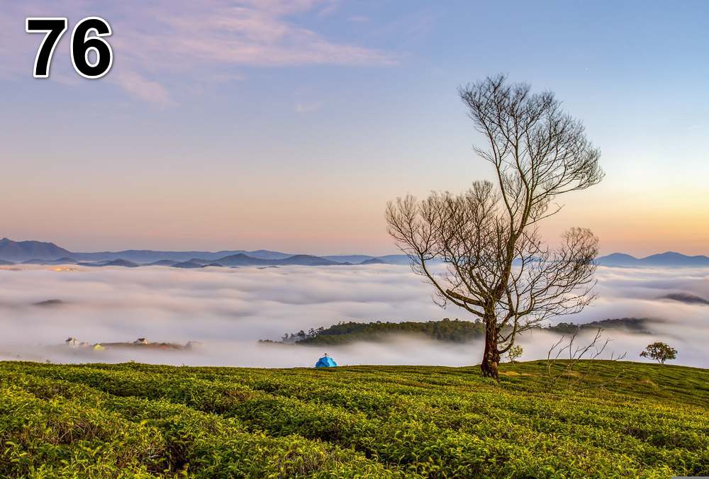 Panneau d'absorption acoustique photographique - mince (100x50x2-4cm) Egalement avec une photo unique - 59 – Image 109