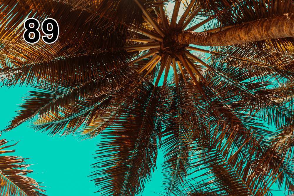 Panneau d'absorption acoustique photographique - mince (100x50x2-4cm) Egalement avec une photo unique - 59 – Image 12