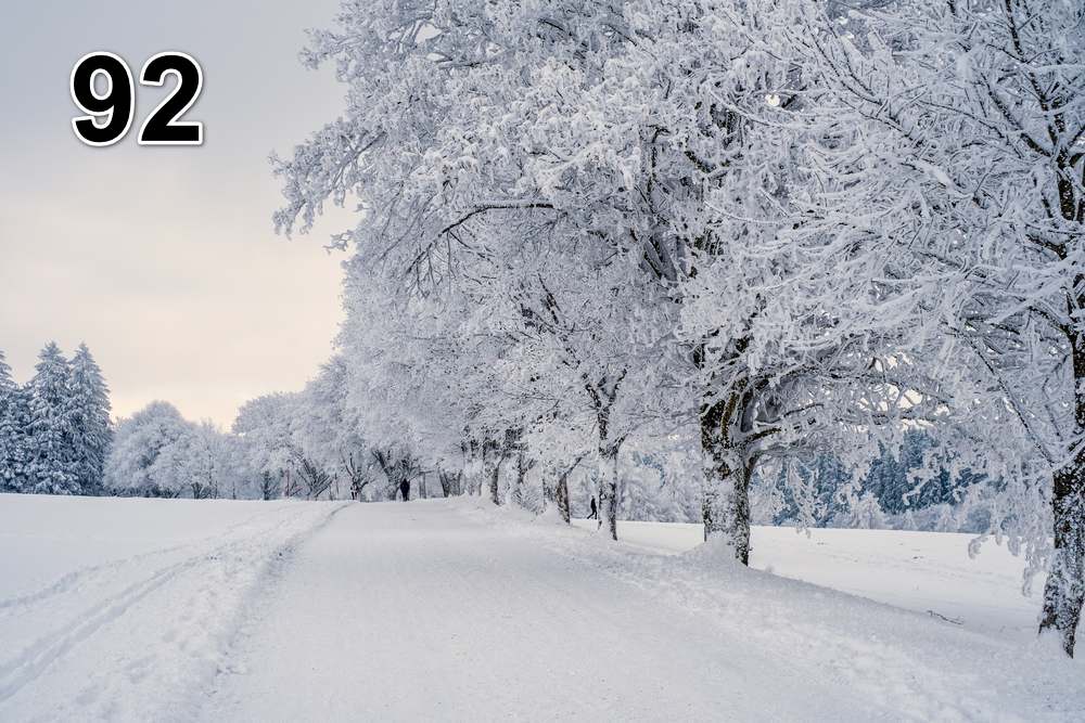 Panneau d'absorption acoustique photographique - mince (100x50x2-4cm) Egalement avec une photo unique - 59 – Image 15