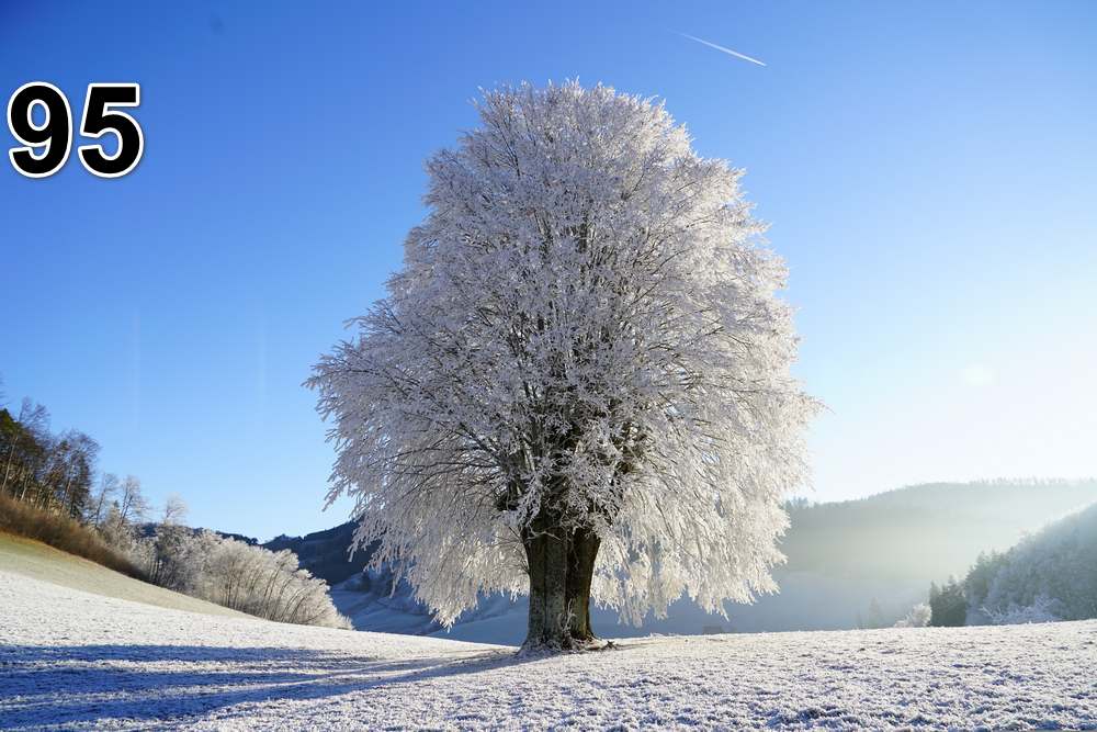 Panneau d'absorption acoustique photographique - mince (100x50x2-4cm) Egalement avec une photo unique - 59 – Image 18
