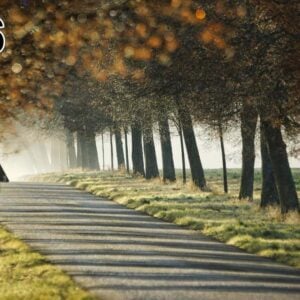 Panneau d'absorption acoustique photographique - mince (100x50x2-4cm) Egalement avec une photo unique - 96