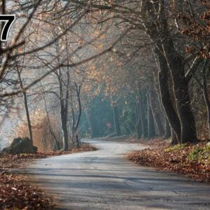 Panneau d'absorption acoustique photographique - mince (100x50x2-4cm) Egalement avec une photo unique - 97