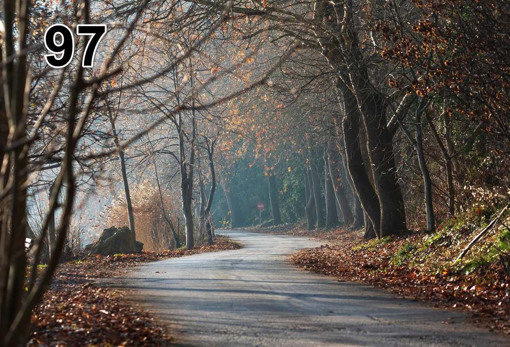 Panneau d'absorption acoustique photographique - mince (100x50x2-4cm) Egalement avec une photo unique - 59 – Image 20