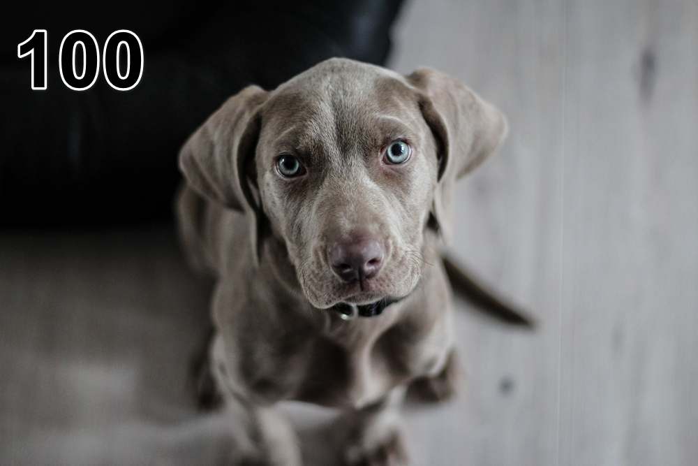 Panneau d'absorption acoustique photographique - mince (100x50x2-4cm) Egalement avec une photo unique - 59 – Image 23