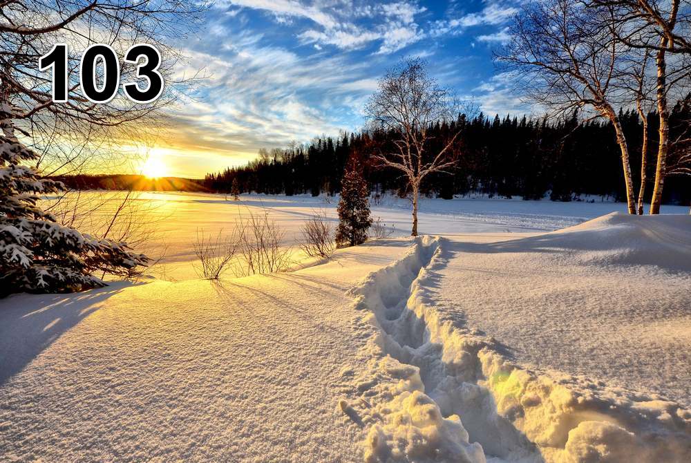 Panneau d'absorption acoustique photographique - mince (100x50x2-4cm) Egalement avec une photo unique - 59 – Image 26