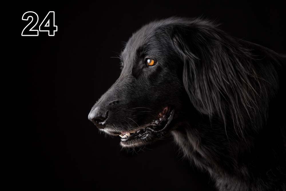 Panneau d'absorption acoustique photographique - mince (100x50x2-4cm) Egalement avec une photo unique - 59 – Image 57