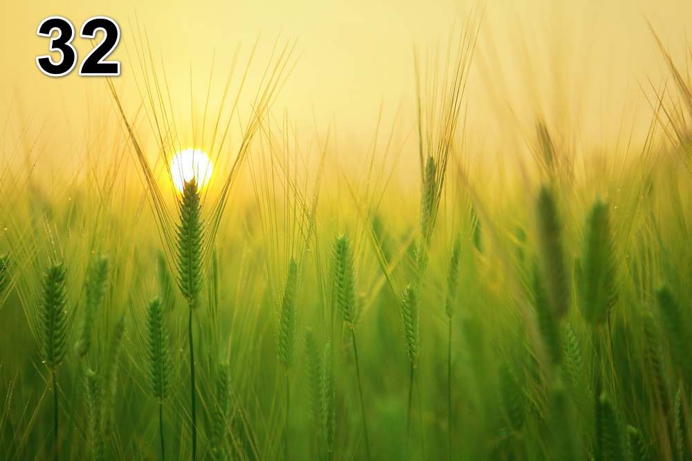 Panneau d'absorption acoustique photographique - mince (100x50x2-4cm) Egalement avec une photo unique - 59 – Image 65