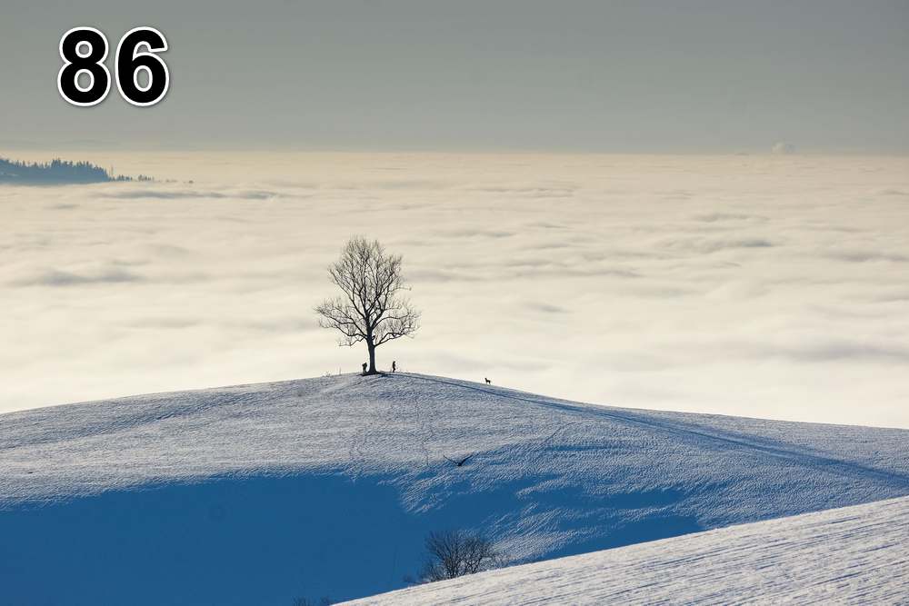 Panneau d'absorption acoustique photographique - mince (100x50x2-4cm) Egalement avec une photo unique - 59 – Image 9